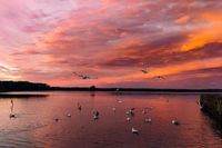 Dieses Foto steht für viele, viele Sonnenuntergangsmomente am Neustädter Binnenwasser, die in Form von Leserfotos bei uns eingegangen sind. Desiree Rexhepi hat diese reizvolle Abendstimmung eingefangen.