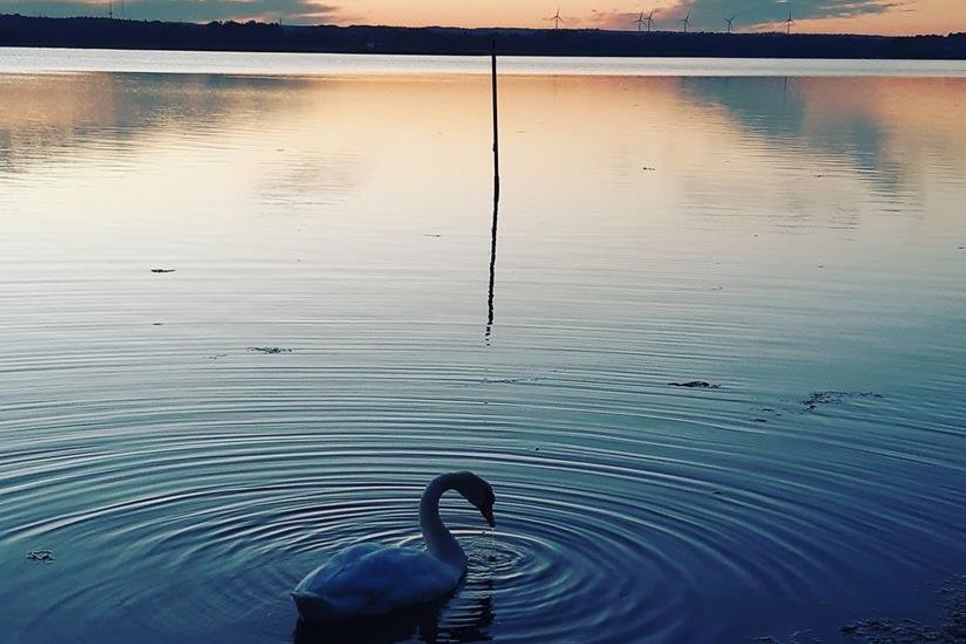 Jasmin Krügers Foto vom Neustädter Binnenwasser begeisterte nicht nur unsere Abonnenten bei Instagram, sondern auch das reporter-Team.