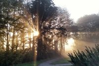 Wenn die aufgehende Sonne durch die Baukronen bricht, sieht man ihre Strahlen und kann die Stille des Morgens genießen. Sonja Drews hat diese Stimmung im Kurpark Lensahn eingefangen.