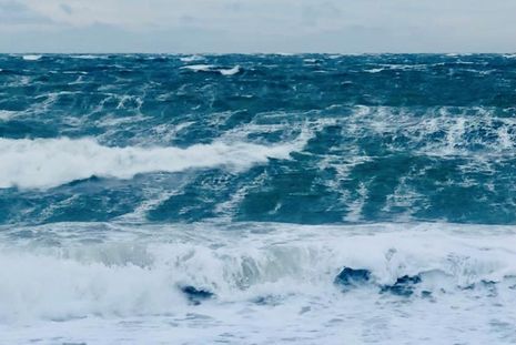 Am vergangenen Wochenende tobte Sturmtief Tristan bei uns im Norden. Die Ostsee zeigte sich bedrohlich mit hohen Wellen wie hier auf Fehmarn.