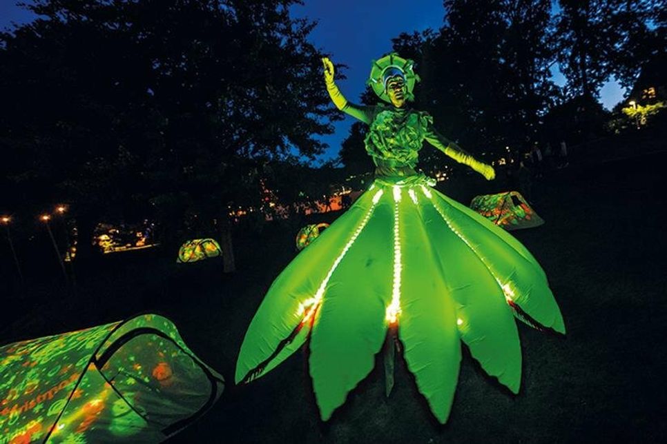 Poesie und Feenstaub, Lasershows, Musik, Kunst und romantische Lichtinstallationen können die Besucher beim Lichterzauber in Travemünde erleben.