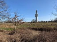 Orientierungspunkt auf dem Spaziergang ist der Horchturm mitten im Schutzgebiet.