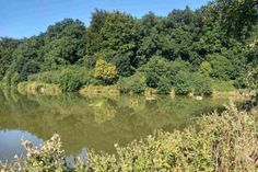 Seeadler, Bekassine und Eisvogel sind am Teich erlebbar.