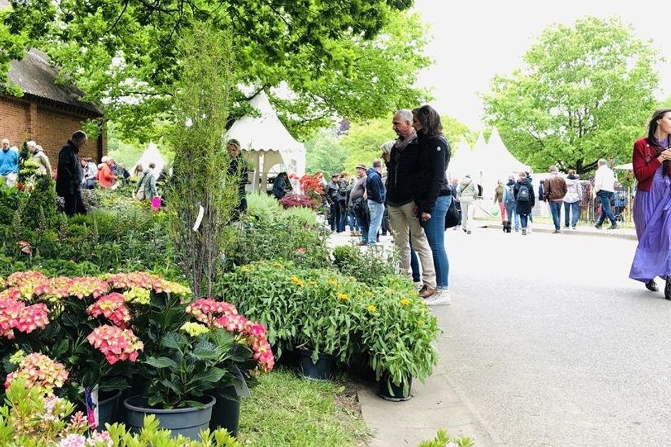 Blumen und Pflanzen, Mode und Möbel, Accessoires und Lifestyle. Es gab viel zu entdecken.