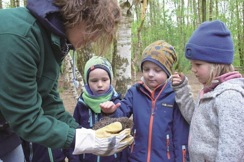 „Der ist aber süß“, freuten sich die Kitakinder, beim vorsichtigen Berühren der kleine Pflege-Igel.