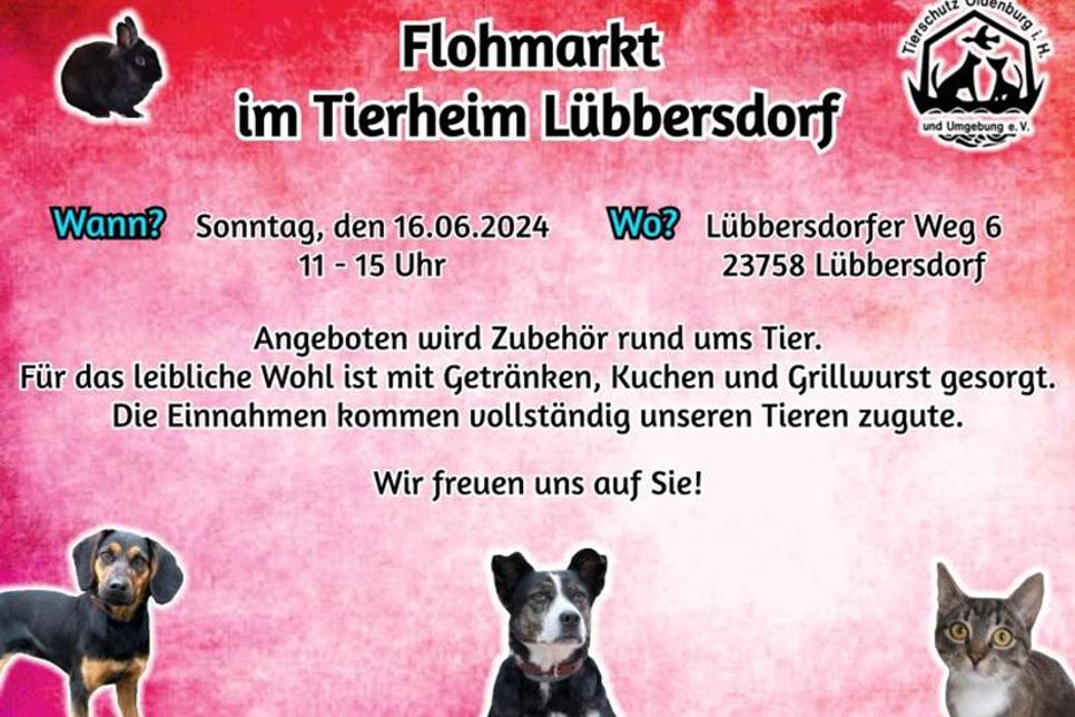 Flohmarkt im Tierheim