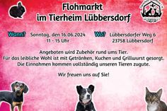 Flohmarkt im Tierheim