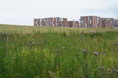 Im Gebiet zwischen der Oldenburger Straße und der Lüneburger Straße könnte nun der „Gewerbehof Lübscher Mühlenberg“ entstehen.