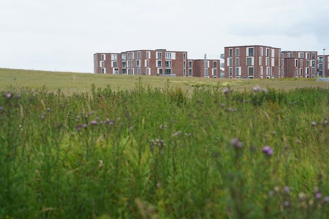 Im Gebiet zwischen der Oldenburger Straße und der Lüneburger Straße könnte nun der „Gewerbehof Lübscher Mühlenberg“ entstehen.