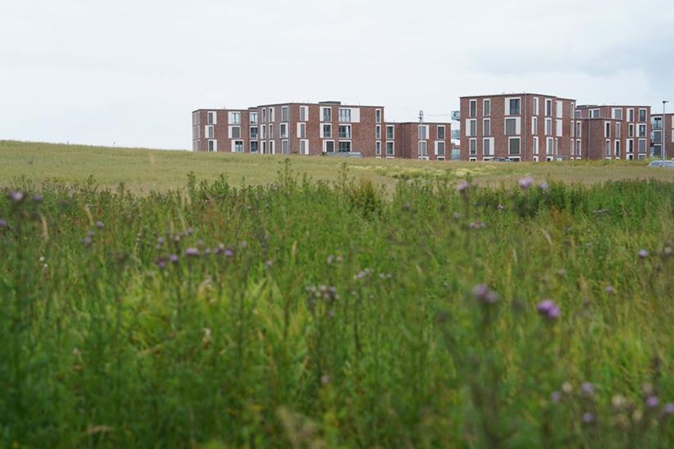 Im Gebiet zwischen der Oldenburger Straße und der Lüneburger Straße könnte nun der „Gewerbehof Lübscher Mühlenberg“ entstehen.