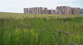 Im Gebiet zwischen der Oldenburger Straße und der Lüneburger Straße könnte nun der „Gewerbehof Lübscher Mühlenberg“ entstehen.