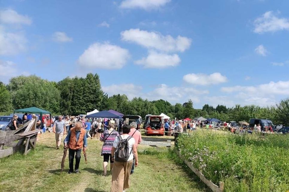 Der Flohmarkt auf den Wiesen des Museumshofs in Lensahn lädt zum Stöbern ein.