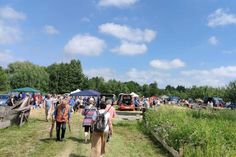 Der Flohmarkt auf den Wiesen des Museumshofs in Lensahn lädt zum Stöbern ein.