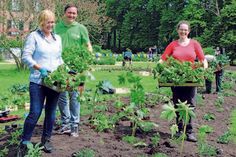 Landschaftsarchitektinnen und Wechselflorplanerinnen Petra Pelz und Ingrid Gock stellen mit Projektleiter Christian Kamer die neue Bepflanzung vor.