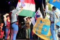 Neustadt feiert das 30. europäische folklore festival.