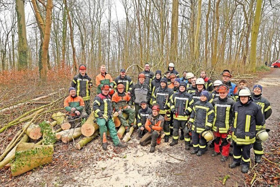 Die 8. Feuerwehrbereitschaft des Katastrophenschutzes im Kreis Plön hat auf dem „Siebenstern“ im Schlosswald im Rahmen einer Übung zur Verkehrssicherung mehrere Bäume gefällt.