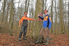 (V. l.) Peter Hundrieser (Schleswig-Holsteinische Landesforsten) und Peter Daniel (Katastrophenschutz im Kreis Plön) stoßen mit dem Zollstock im morschen Baumstamm kaum noch auf Widerstand – die Buche wird abgesägt.