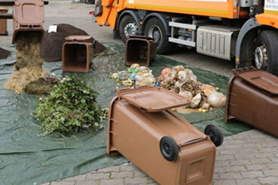 So unterschiedlich sieht der Inhalt der Biotonnen aus: links zwei vorbildlich befüllte Tonnen mit Gartenabfällen und Biomüll, rechts falsch befüllte Tonnen voller Plastiktüten und sonstigen Abfällen