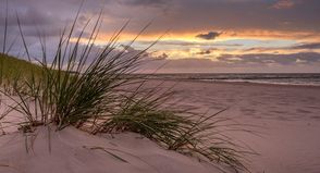 (Symbolfoto Adobe Stock)