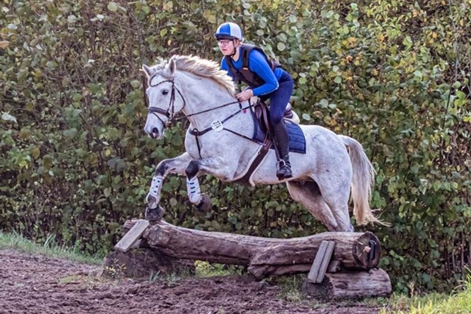Erstmalig in das Programm aufgenommen werden in diesem Jahr Geländeprüfungen der Klassen E und A. Damit möchte der Verein das sportliche Angebot und die Attraktivität der Veranstaltung steigern.