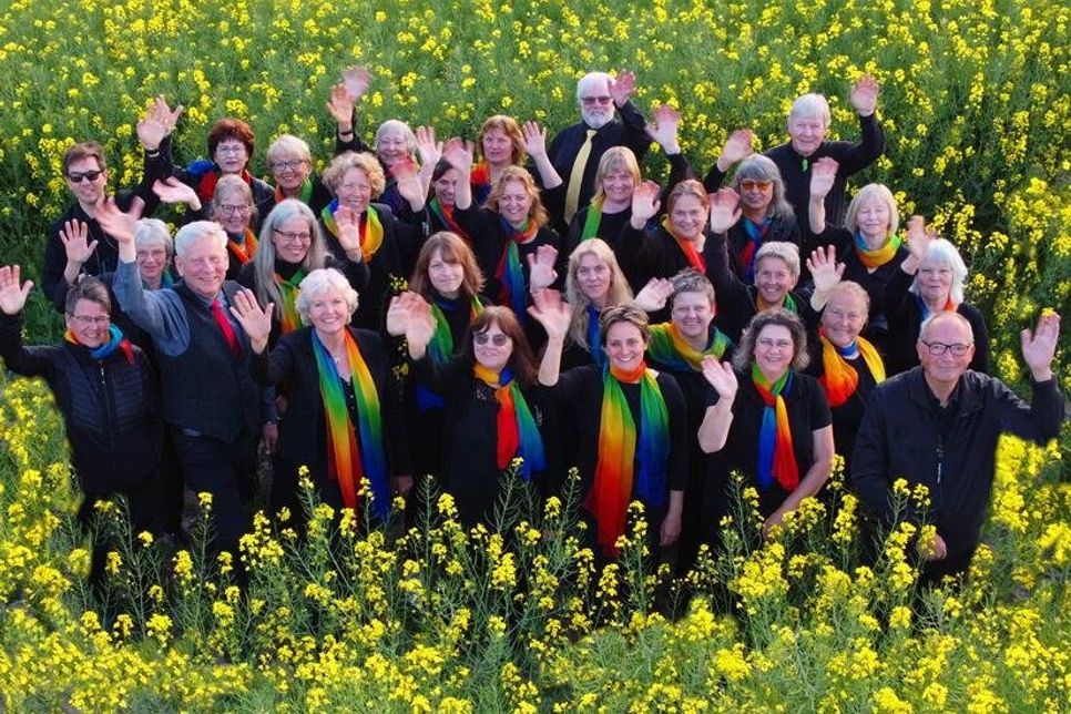 Unter dem Dach der VHS Eutin und der Kreismusikschule Ostholstein singt der Chor seit 1997 mit viel Spaß und Leidenschaft.