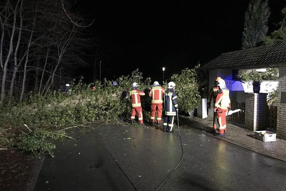 In der Straße „Kiepenberg“ war ein Baum auf die Straße und gegen ein Haus gefallen.