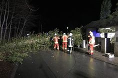 In der Straße „Kiepenberg“ war ein Baum auf die Straße und gegen ein Haus gefallen.