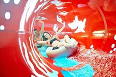 Auch als Ausflugsziel für viele Tagestouristen ist der Ferien- und Freizeitpark Weissenhäuser Strand (WHS) eine beliebte Destination.