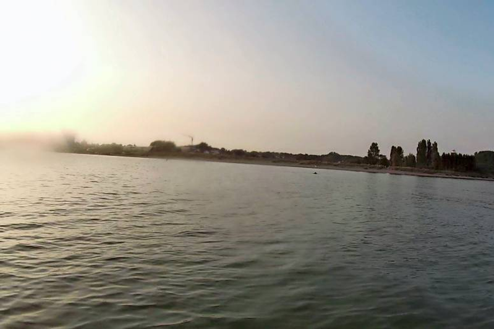 Ein Tümmler wurde am vergangenen Montag erneut vor Pelzerhaken beobachtet.