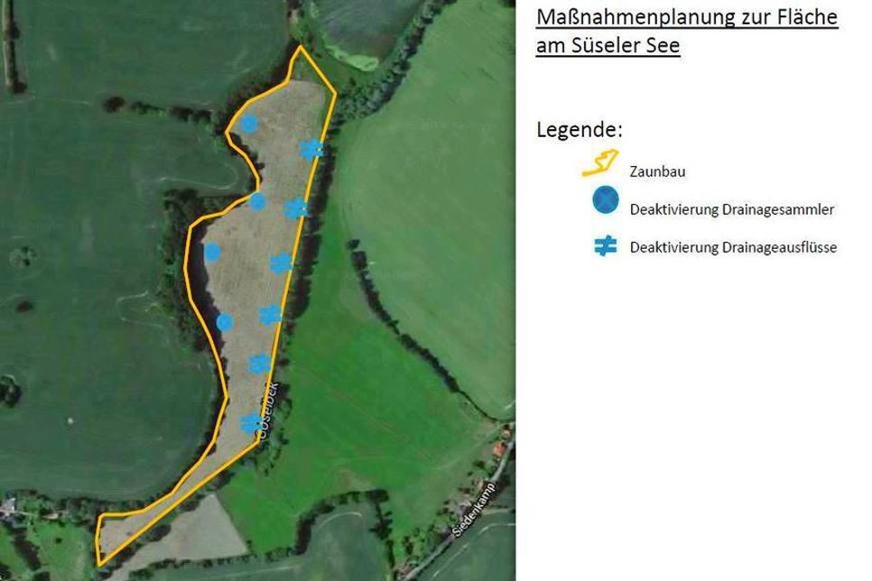 Maßnahmenkarte der Niederungsfläche am Südufer des Süseler Sees.