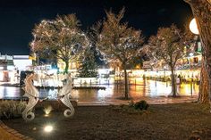 Auch in diesem Winter soll das Timmendorfer Zentrum im Lichterglanz strahlen.
