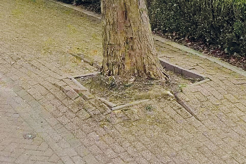 Gemeinde Ratekau informiert: Entsiegelung in der Norderstraße Pansdorf