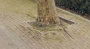 Gemeinde Ratekau informiert: Entsiegelung in der Norderstraße Pansdorf