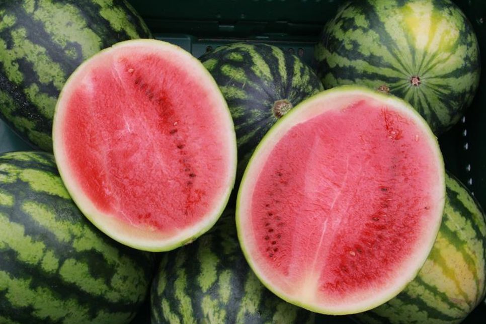 Melonenzeit auf Neustädter Wochenmarkt.
