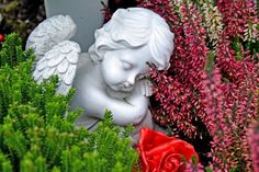 Gedenkfeiern am Volkstrauertag