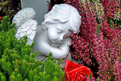 Gedenkfeiern am Volkstrauertag