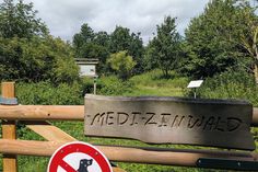 Im Medizinwald: Hier tut sich was!