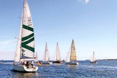 BalticSailing lädt zum 7. Mal alle Segel-Neulinge zum kostenfreien Mitsegeln ein. (Foto: Veranstalter)