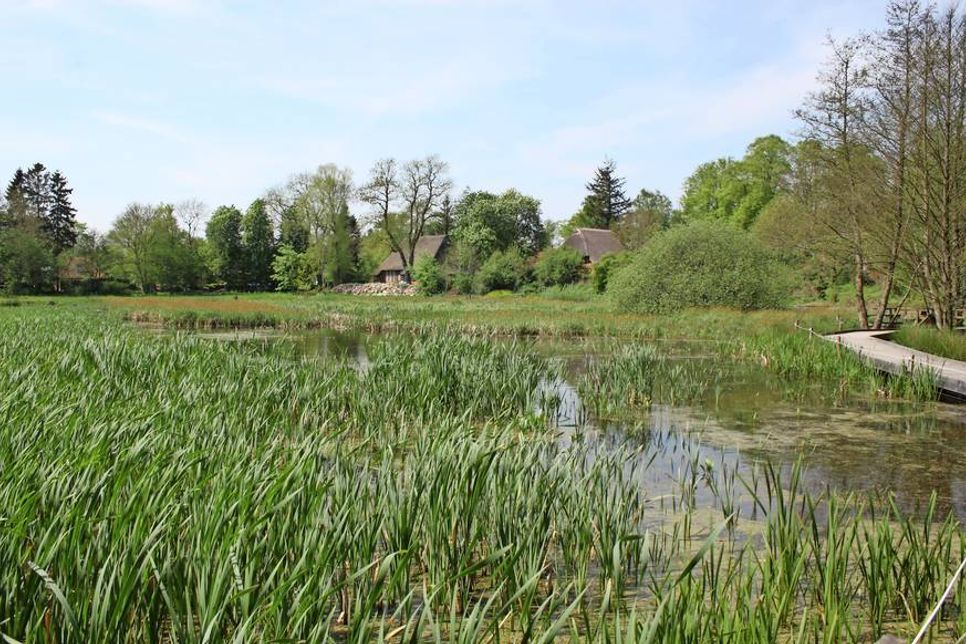 Der Naturerlebnisraum mit seinem rund 500 Meter langen Rundweg ist ein kleines Paradies und eine Oase der Ruhe.