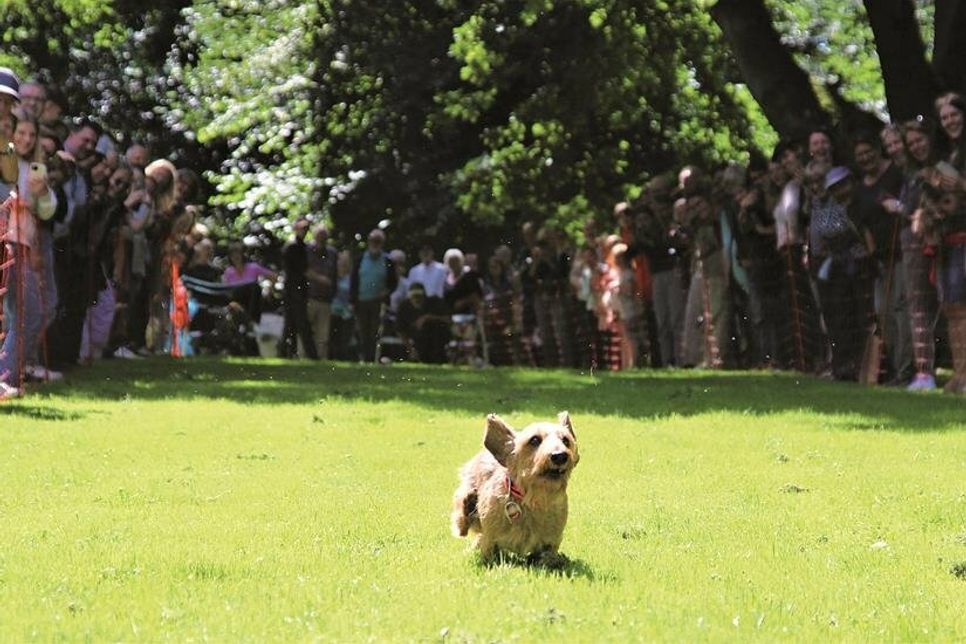 Dich an dicht stehen die Zuschauer an der Laufstrecke.