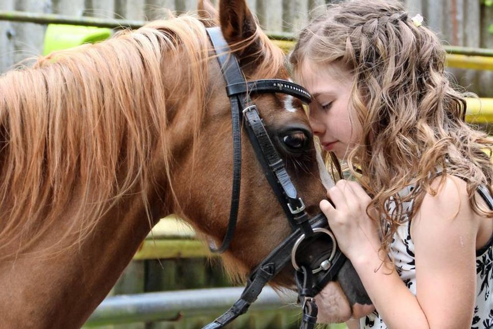 Eine unvergängliche Liebe.