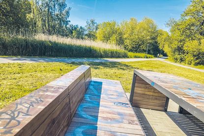 Umweltbeirat erstattet Anzeige: Vandalismus im Moorwischpark