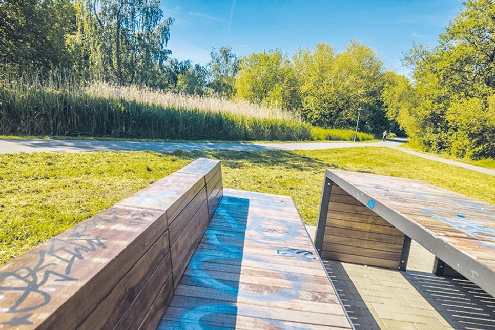 Umweltbeirat erstattet Anzeige: Vandalismus im Moorwischpark