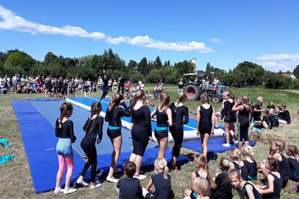 Die Kinderturnsparte des TSV Lensahn zeigt ihr Können.