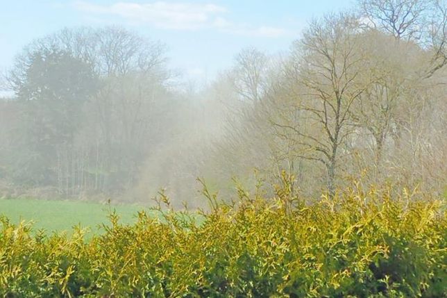 Staub, wie er beim Betrieb des Steinbrechers entsteht und über die L 309 in Richtung Süsel zieht.