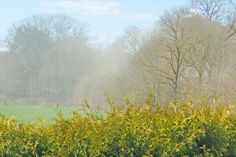Staub, wie er beim Betrieb des Steinbrechers entsteht und über die L 309 in Richtung Süsel zieht.