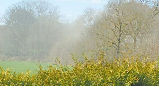 Staub, wie er beim Betrieb des Steinbrechers entsteht und über die L 309 in Richtung Süsel zieht.