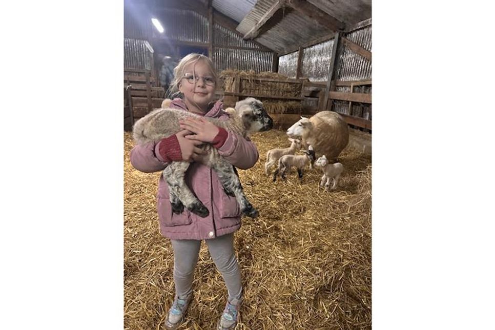 Lia Streich (6 Jahre) freut sich schon darauf, die Lämmer mit der Milchflasche zu füttern.