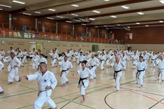 40 Jahre Yoshino Dojo Scharbeutz: Jubiläumslehrgang mit hochrangigen Meistern