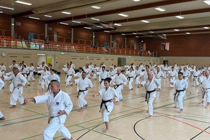 40 Jahre Yoshino Dojo Scharbeutz: Jubiläumslehrgang mit hochrangigen Meistern